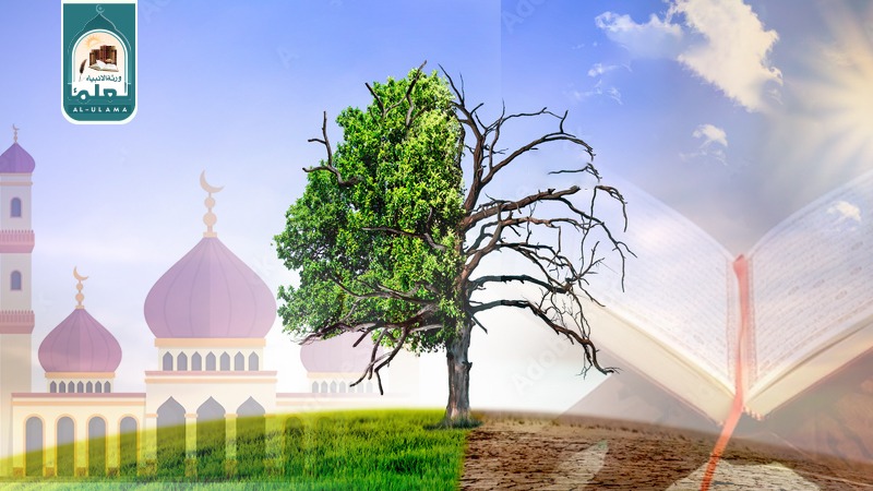 موسمیاتی تبدیلی(climate change) اور اسلامی تعلیمات