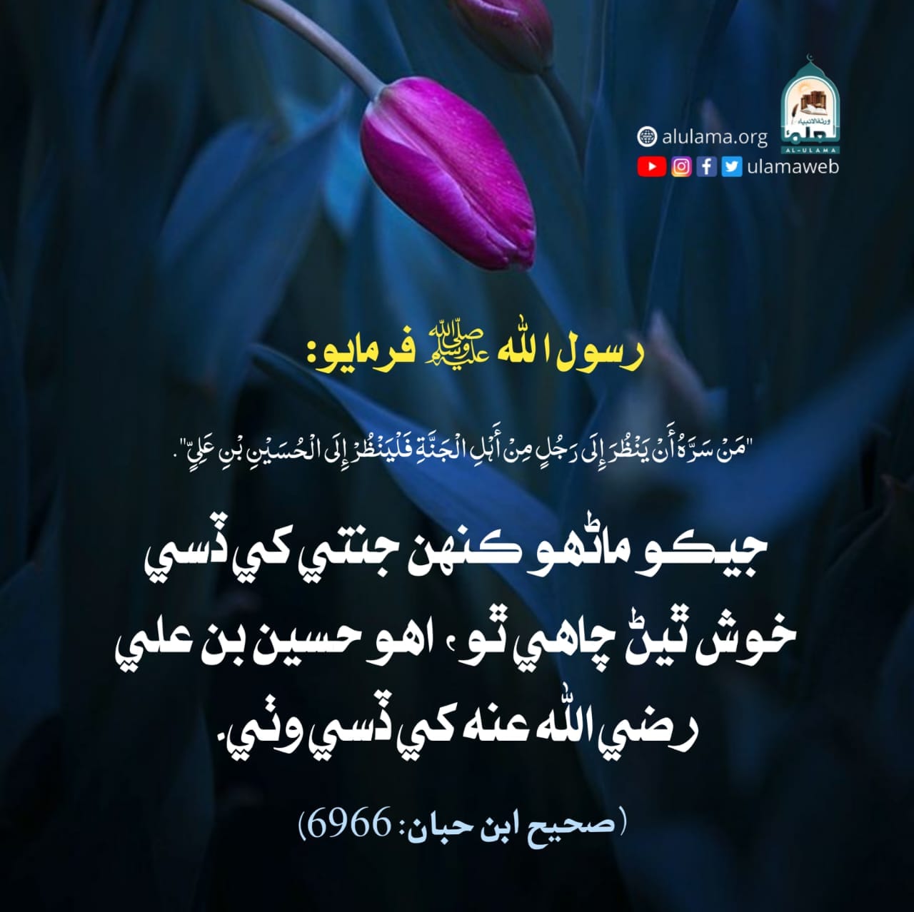 حسين بن علي رضي الله عنه حسين بن علي رضي الله عنه