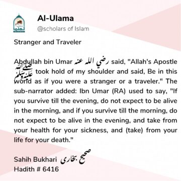 stranger of islam traveler
