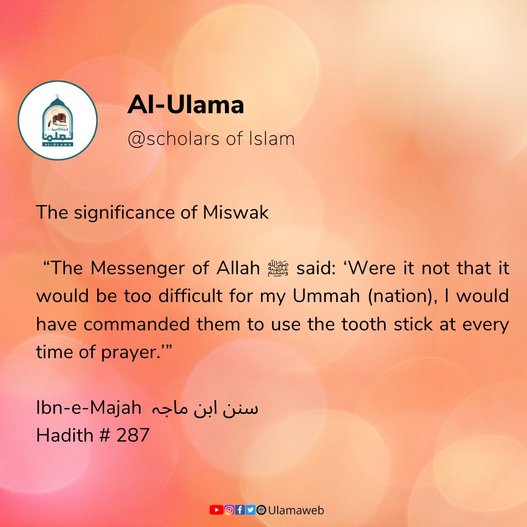the significance of miswak