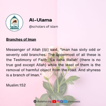 Branches of Iman