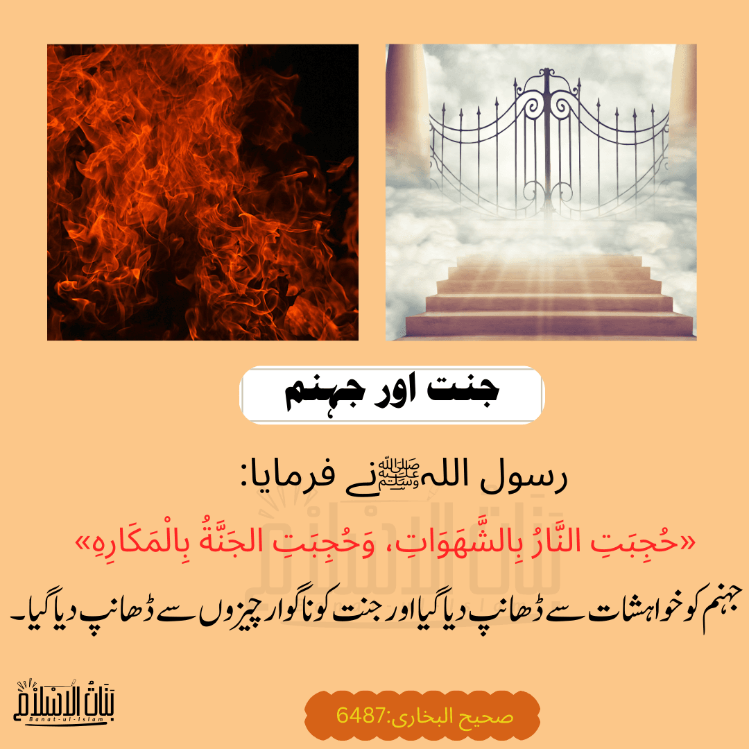 جنت اور جہنم - العلماء
