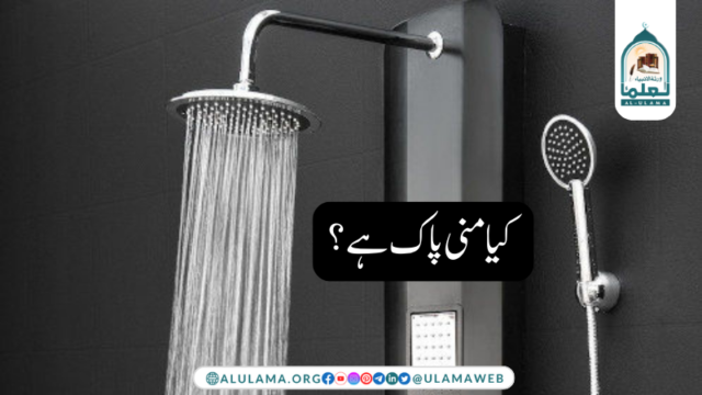 کیا منی پاک ہے؟