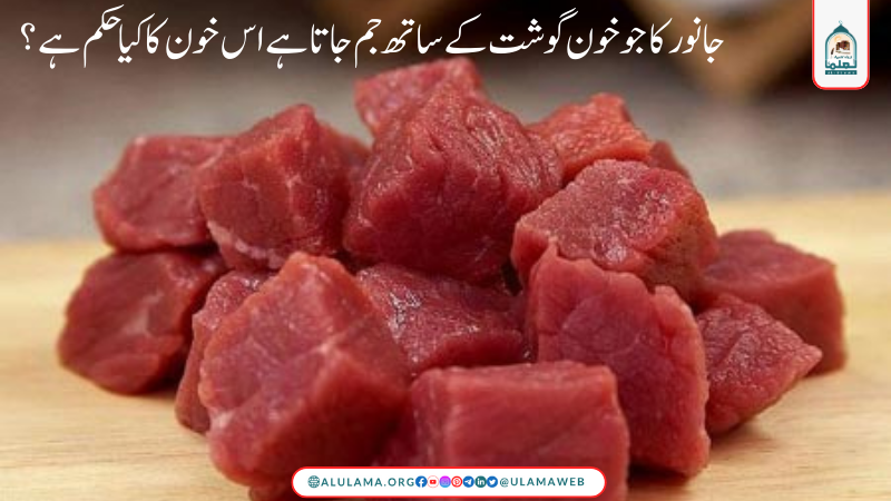 جانور کا جو خون گوشت کے ساتھ جم جاتا ہے اس خون کا کیا حکم ہے ؟