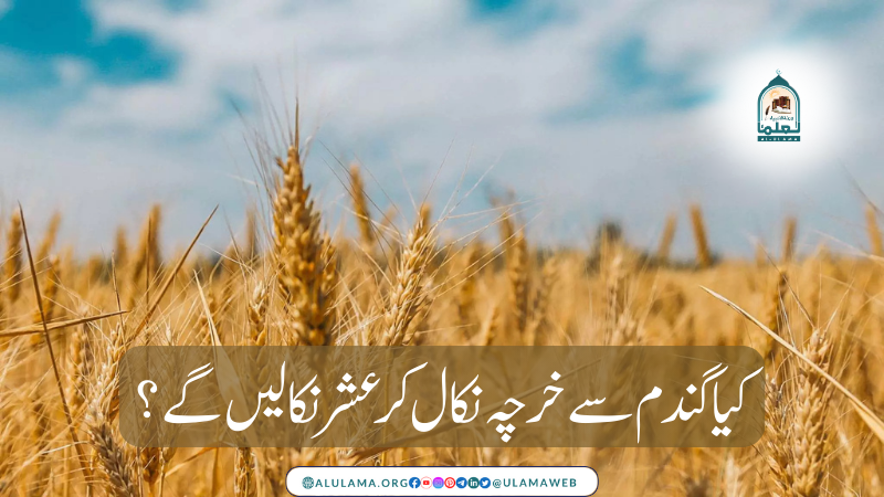 کیا گندم سے خرچہ نکال کر عشر نکالیں گے؟