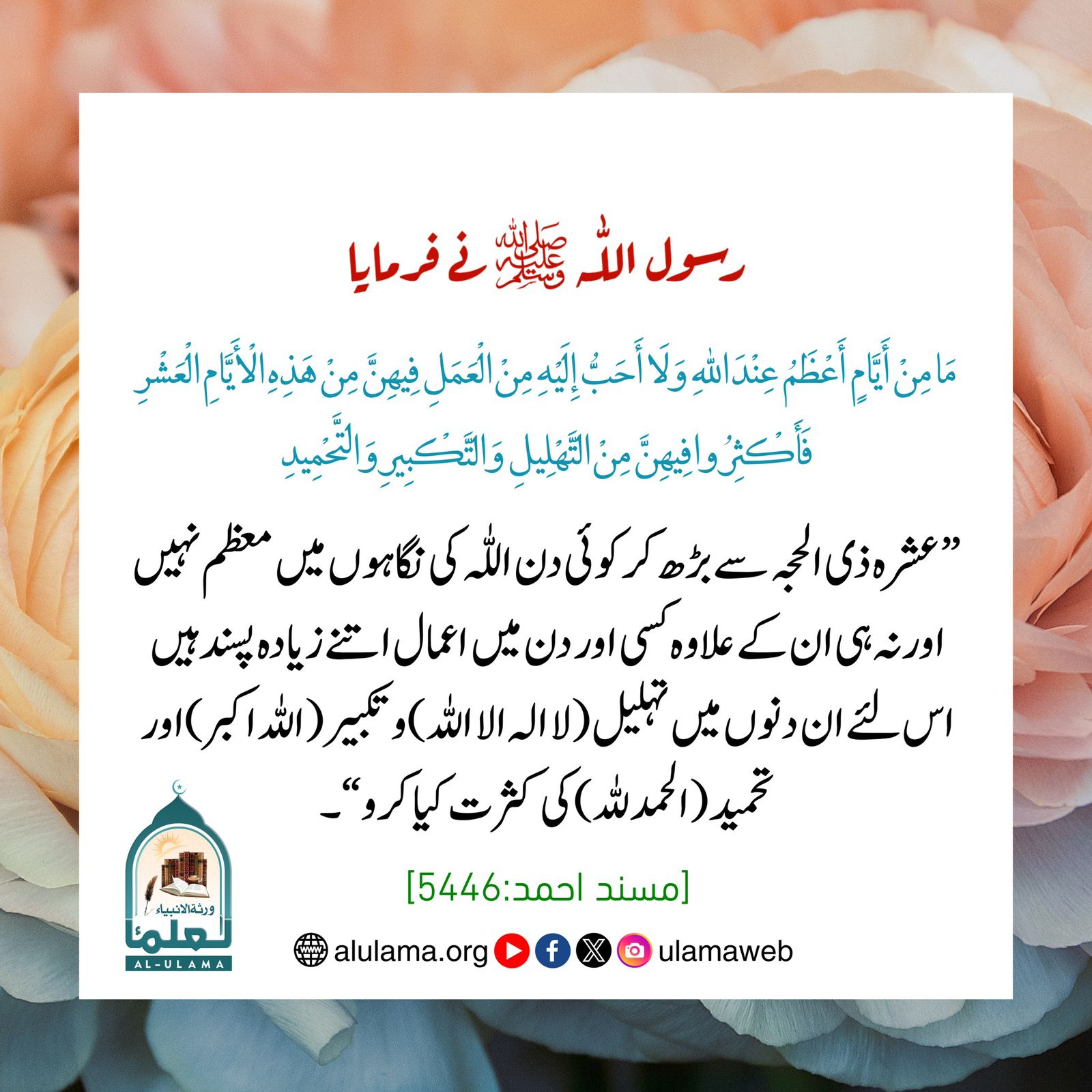 سال کے دس افضل دن