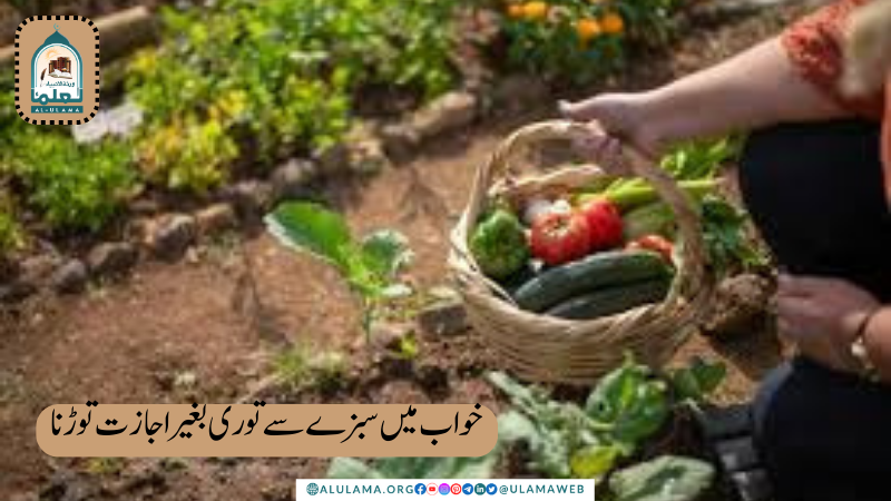 خواب میں سبزے سے توری بغیر اجازت توڑنا