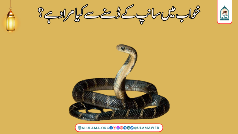 خواب میں سانپ کے ڈسنے سے کیا مراد ہے؟