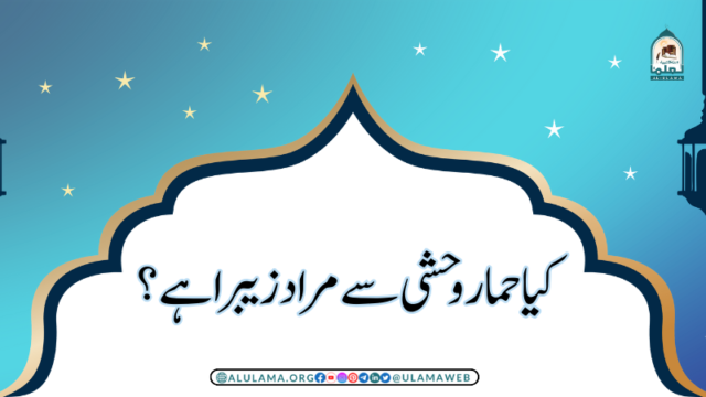 کیا حمار وحشی سے مراد زیبرا ہے؟