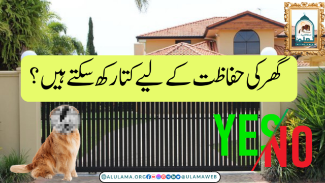 گھر کی حفاظت کے لیے کتا رکھ سکتے ہیں؟