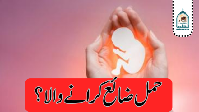 حمل ضائع کرانے والا؟