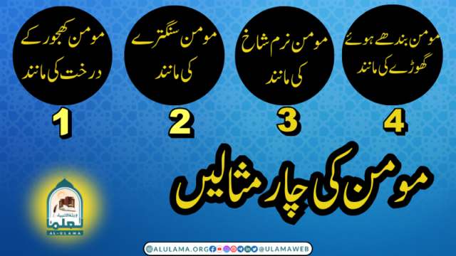 مومن کی چار مثالیں