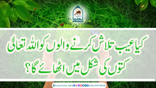 کیا عیب تلاش کرنے والوں کو اللہ تعالیٰ کتوں کی شکل میں اٹھائے گا؟