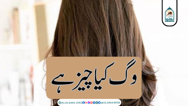 وگ کیا چیز ہے؟