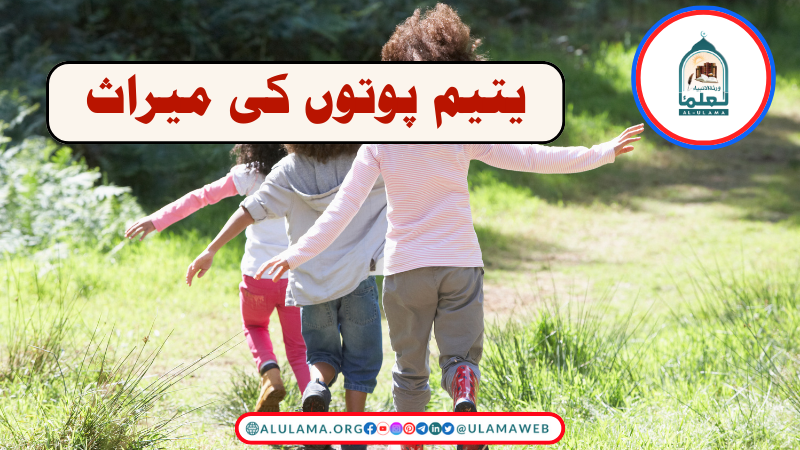 یتیم پوتوں کی میراث