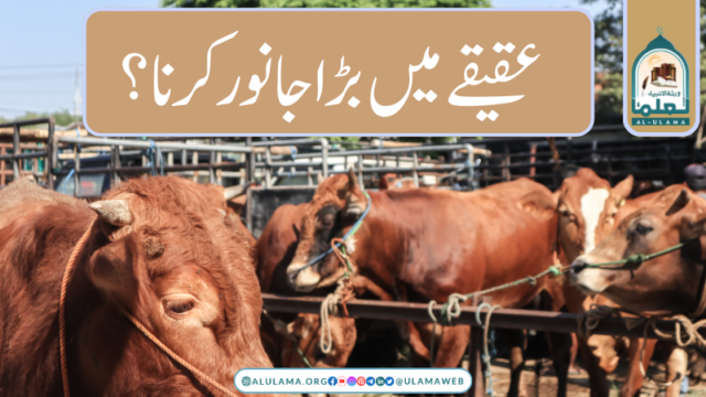 عقیقے میں بڑا جانور کرنا؟