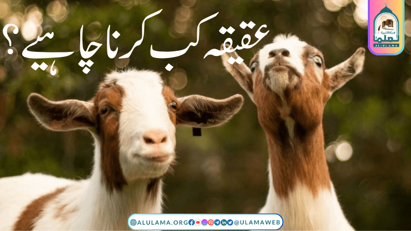 عقیقہ کب کرنا چاہیے؟