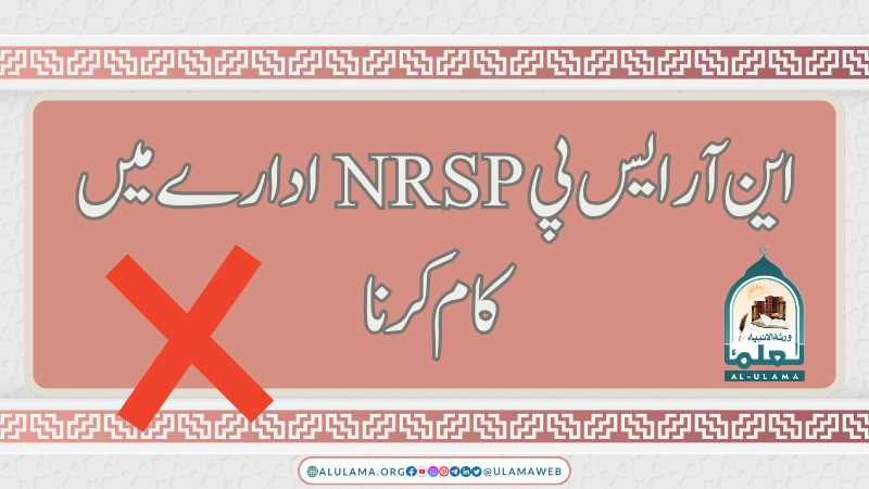 این آر ایس پی NRSP ادارے میں کام کرنا