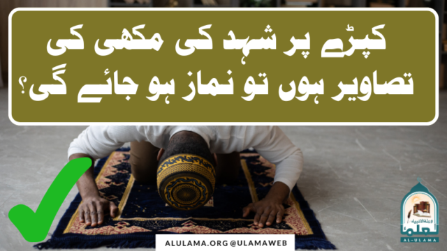 کپڑے پر شہد کی مکھی کی تصاویر ہوں تو نماز ہو جائے گی؟