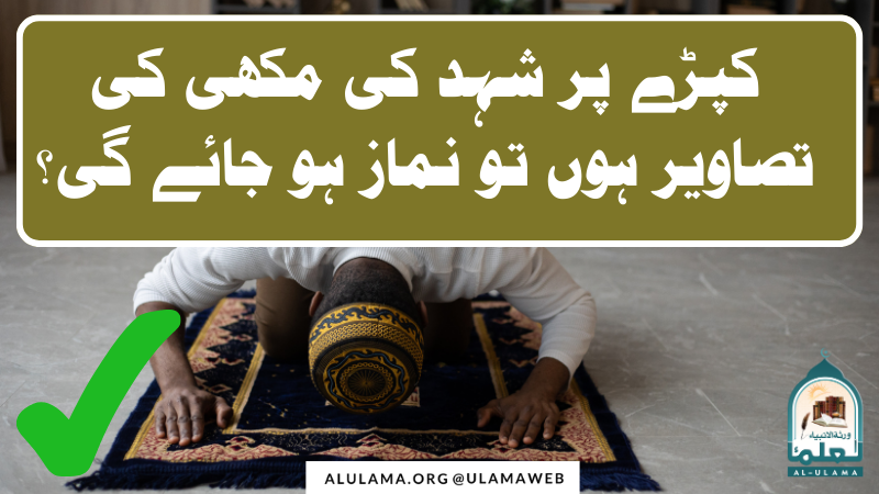 کپڑے پر شہد کی مکھی کی تصاویر ہوں تو نماز ہو جائے گی؟