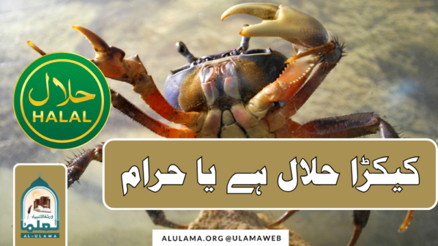 کیکڑا حلال ہے یا حرام