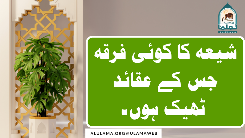 شیعہ کا کوئی فرقہ جس کے عقائد ٹھیک ہوں۔