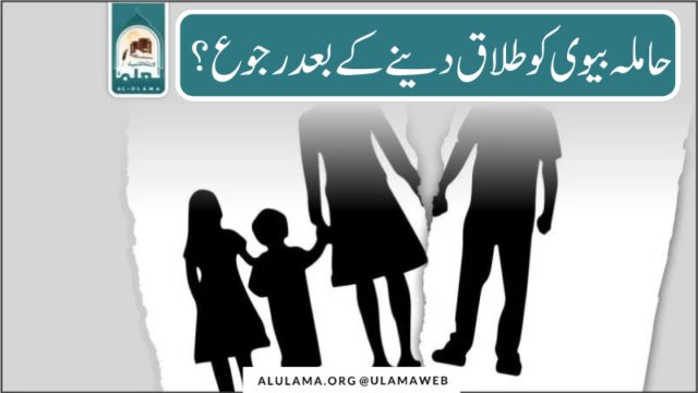 حاملہ بیوی کو طلاق دینے کے بعد رجوع؟