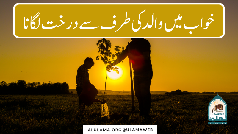 خواب میں والد کی طرف سے درخت لگانا