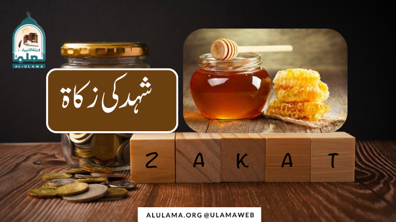 شہد کی زکاۃ
