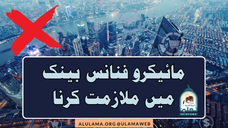 مائیکرو فنانس بینک میں ملازمت کرنا