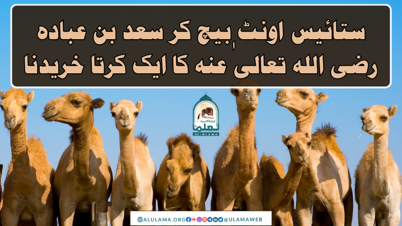 ستائیس اونٹ بیچ کر سعد بن عبادہ رضی اللہ تعالیٰ عنہ کا ایک کرتا خریدنا