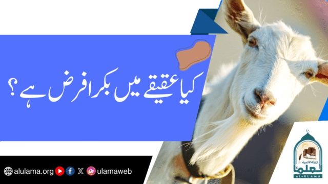 کیا عقیقے میں بکرا فرض ہے؟