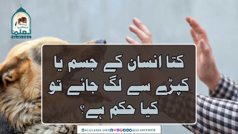 کتا انسان کے جسم یا کپڑے سے لگ جائے تو کیا حکم ہے؟