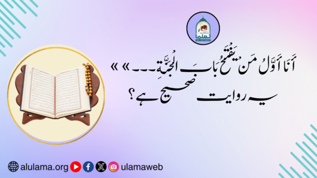 «أَنَا أَوَّلُ مَنْ يَفْتَحُ بَابَ الْجَنَّةِ۔۔۔» یہ روایت صحیح ہے؟