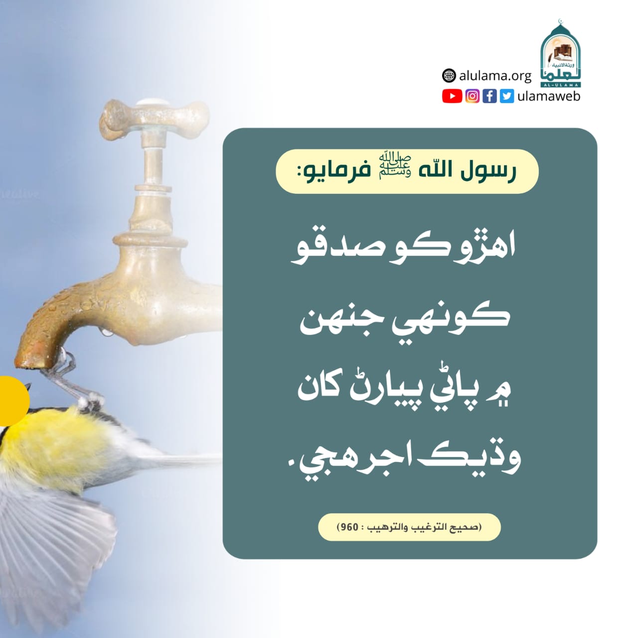 پاڻي پيارڻ جو اجر