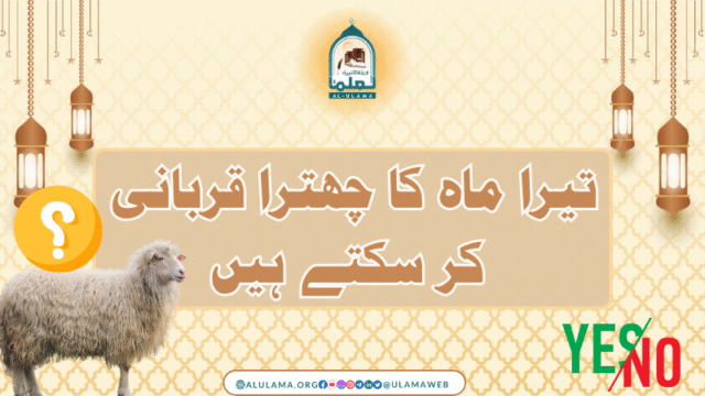 تیرا ماہ کا چھترا قربانی کر سکتے ہیں؟