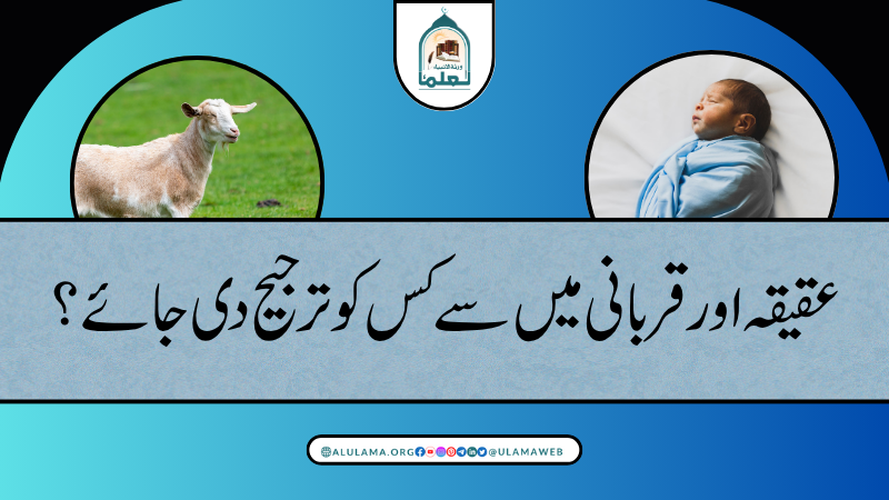 عقیقہ اور قربانی میں سے کس کو ترجیح دی جائے؟