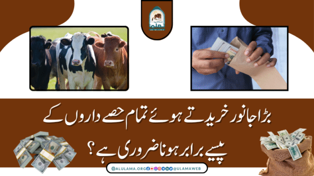 بڑا جانور خریدتے ہوئے تمام حصے داروں کے پیسے برابر ہونا ضروری ہے؟