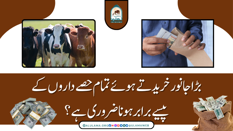 بڑا جانور خریدتے ہوئے تمام حصے داروں کے پیسے برابر ہونا ضروری ہے؟