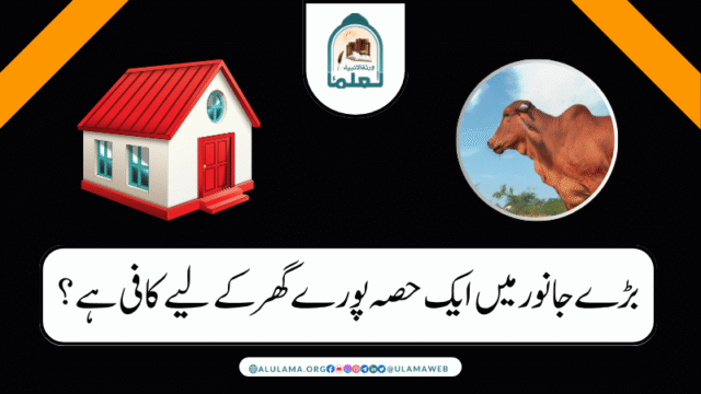 بڑے جانور میں ایک حصہ پورے گھر کے لیے کافی ہے؟