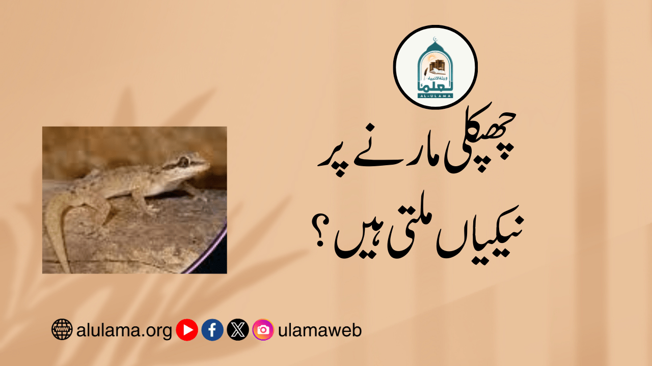 چھپکلی مارنے پر نیکیاں ملتی ہیں؟