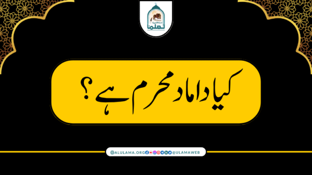 داماد محرم ہے؟