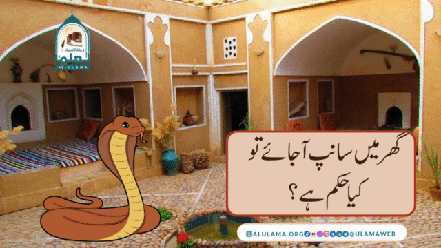 گھر میں سانپ آ جائے تو کیا حکم ہے؟