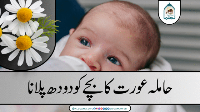حاملہ عورت کا بچے کو دودھ پلانا