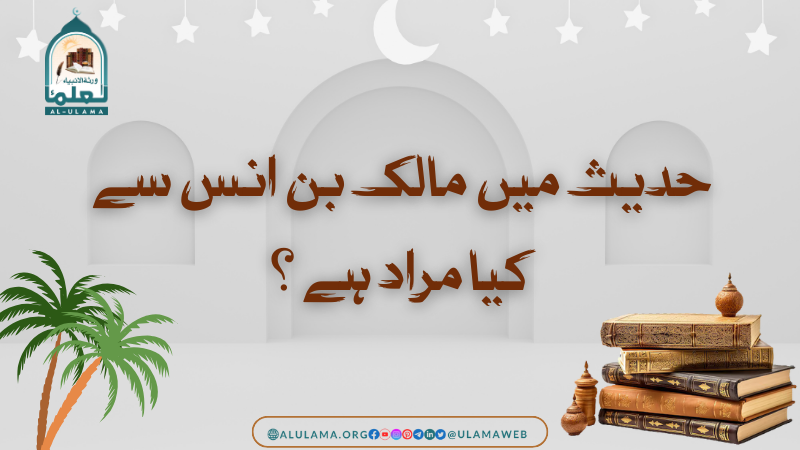 حدیث میں مالک بن انس سے کیا مراد ہے؟