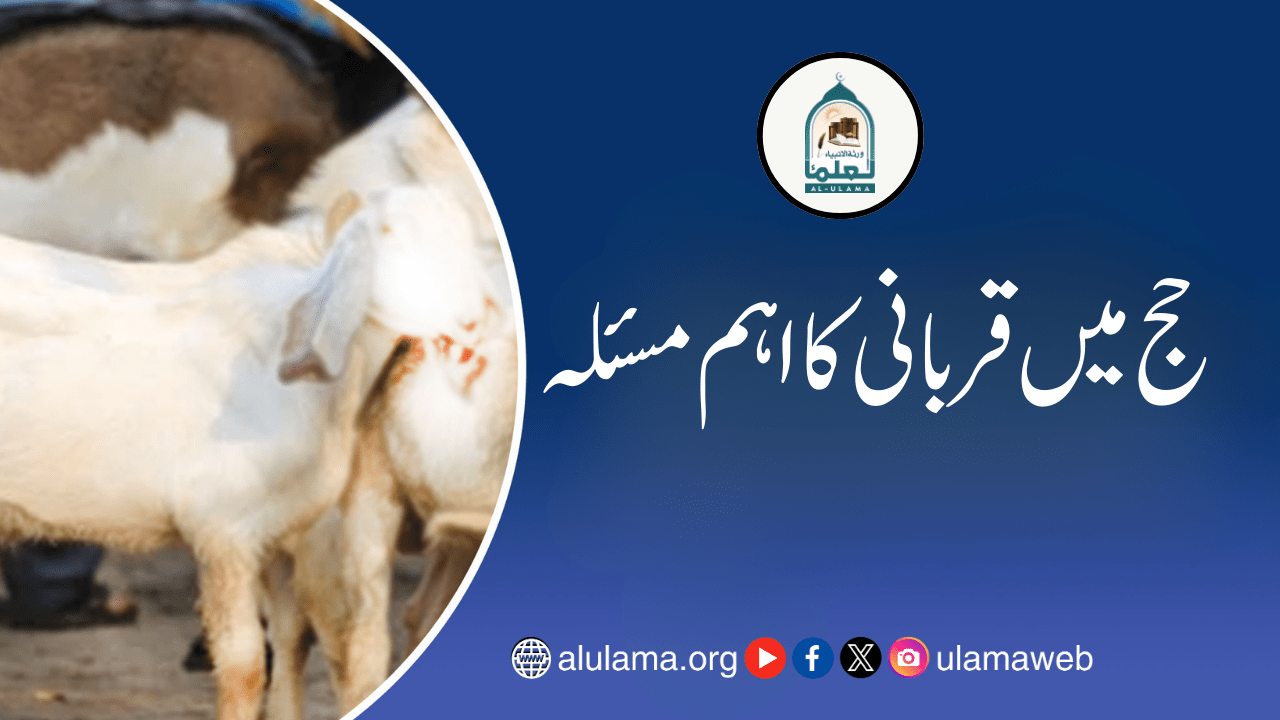 حج میں قربانی کا اہم مسئلہ