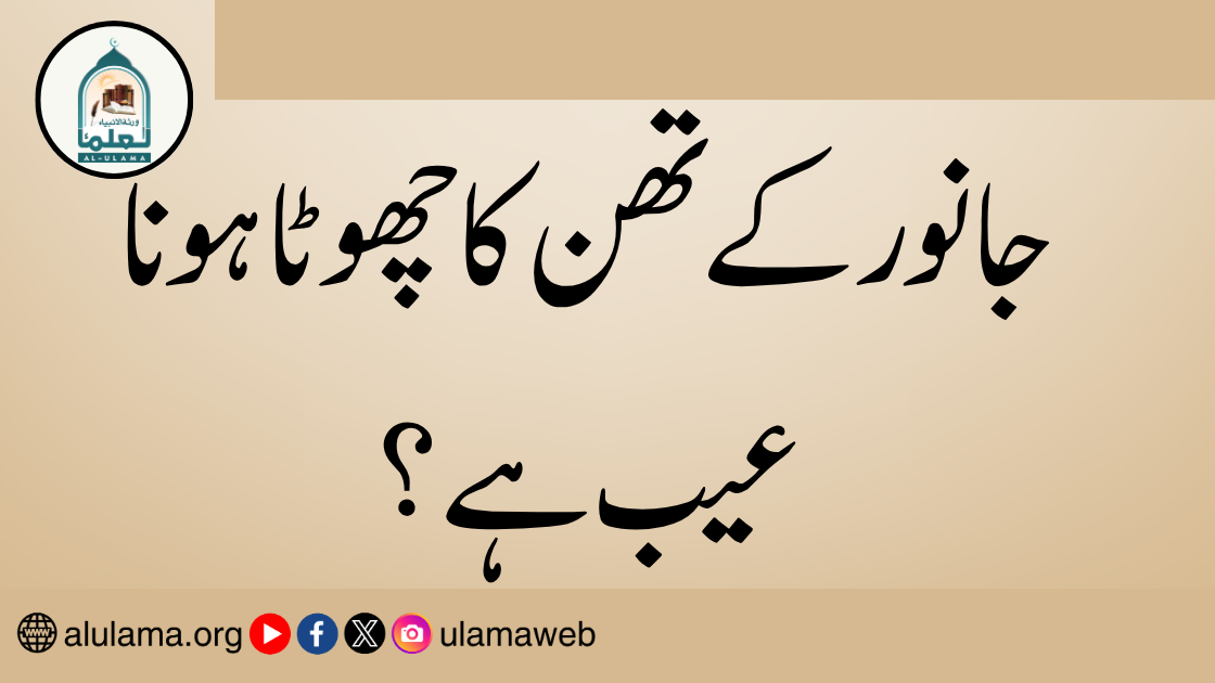 جانور کے تھن کا چھوٹا ہونا عیب ہے؟