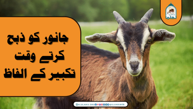 جانور کو ذبح کرتے وقت تکبیر کے الفاظ