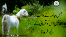 جس جانور کے دانت گر جائیں اس کو قربانی کے لیے خریدنا