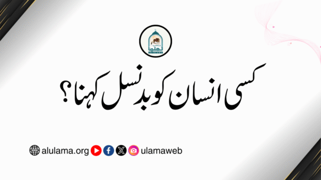 کسی انسان کو بدنسل کہنا؟